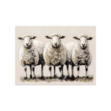 Set de table en vinyle rectangulaire — modèle Mouton Matera