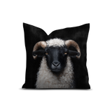 Coussin en velours carré — modèle Mouton Castel Del Monte