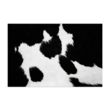 Tapis vinyle en vinyle rectangulaire — modèle Peau Vache Molveno