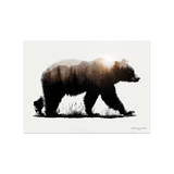 Set de table en vinyle rectangulaire — modèle Ours Sta Maddalena