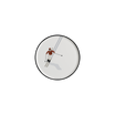 Lot De 6 Dessous De Verre Vinyle Ski Skieur