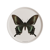 Set de table rond — modèle Papillon Machaon