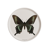 Dessous de verre en vinyle rond — modèle Papillon Machaon