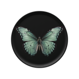 Set de table rond — modèle Papillon Pieride