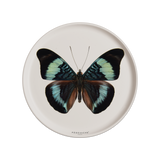 Set de table en vinyle rond — modèle Papillon Thecla