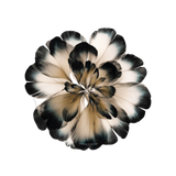 Set de table rond — modèle Floral Corolli