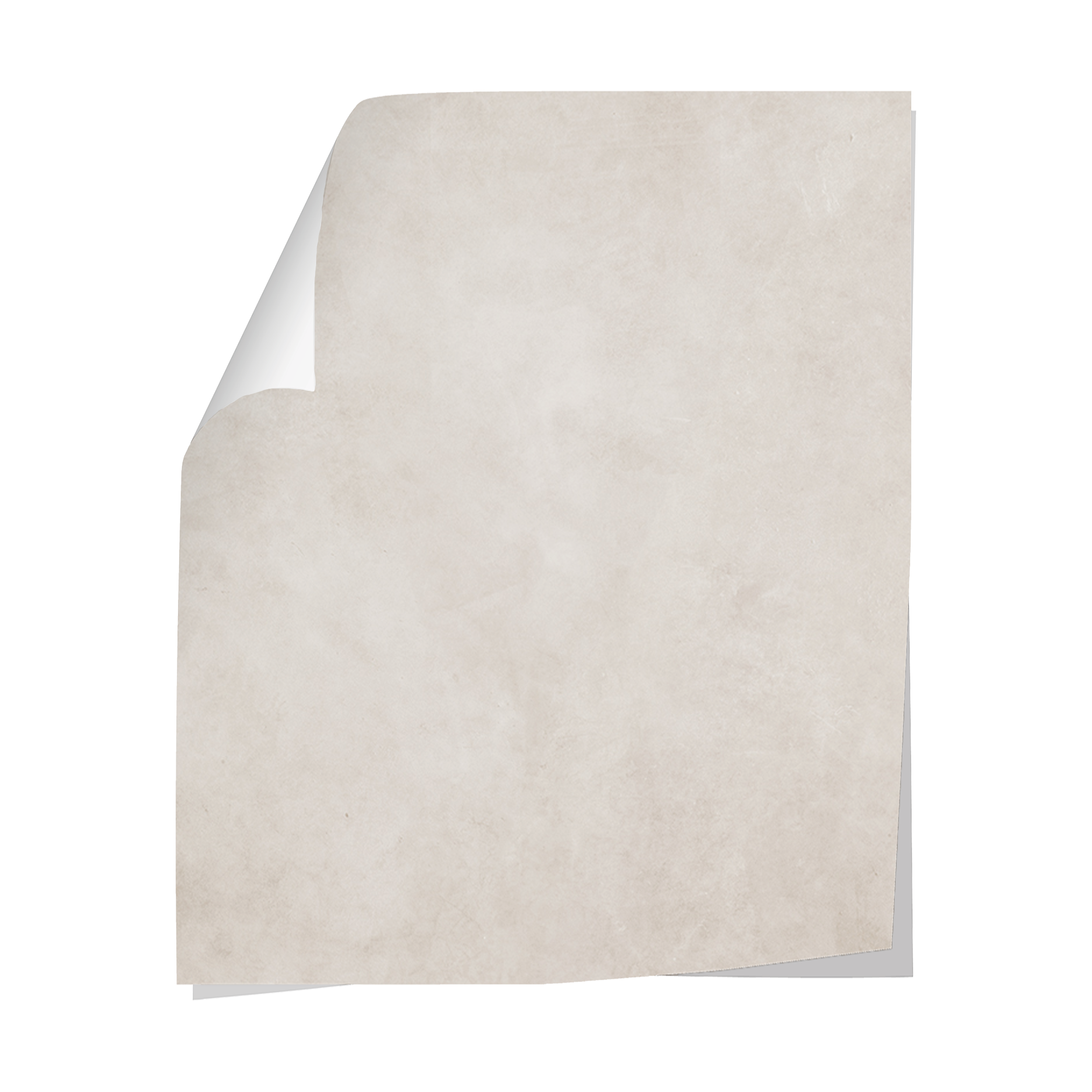 Papier peint Effet Béton Ciré