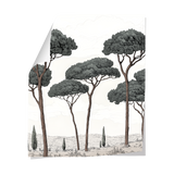 Papier Peint Jungle Pines