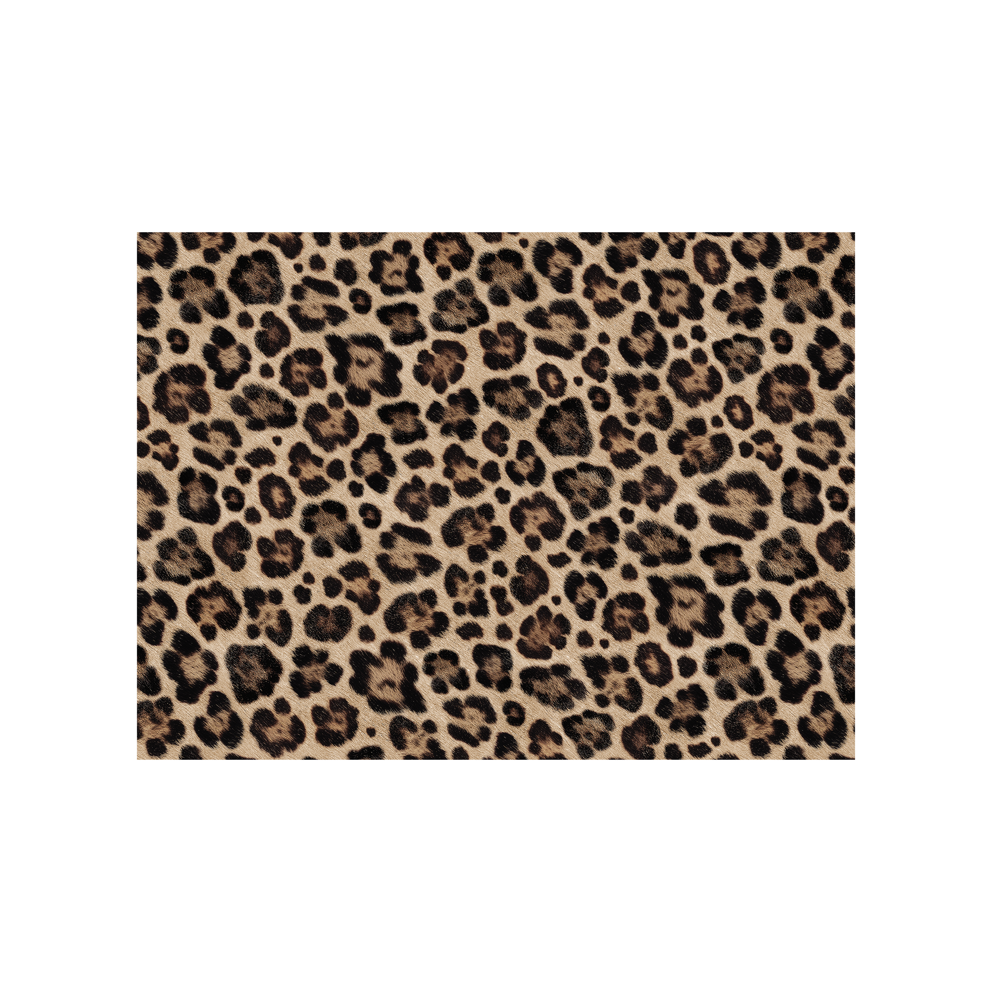 Set De Table Vinyle Léopard New Leo