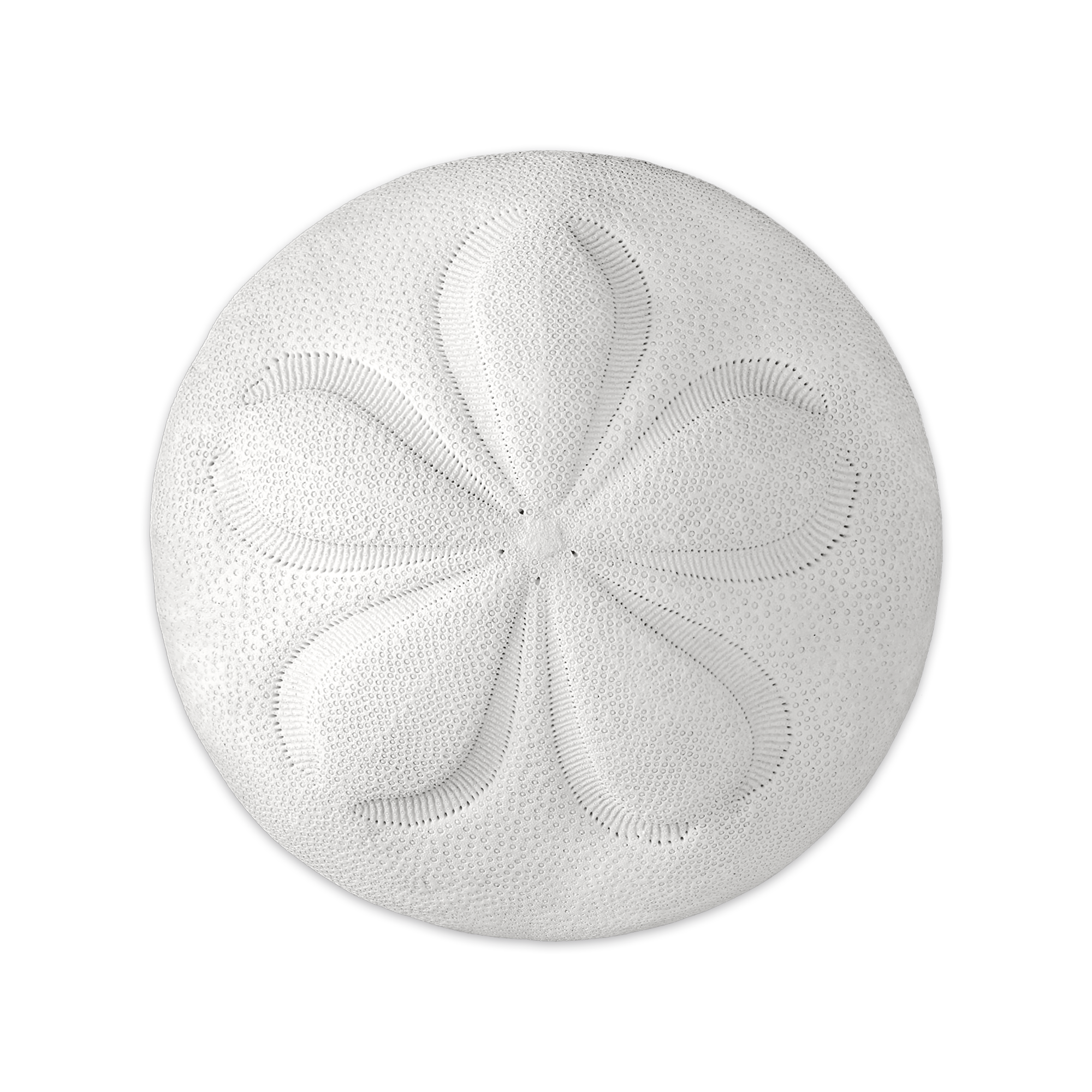 Set De Table Vinyle Pouce Pied