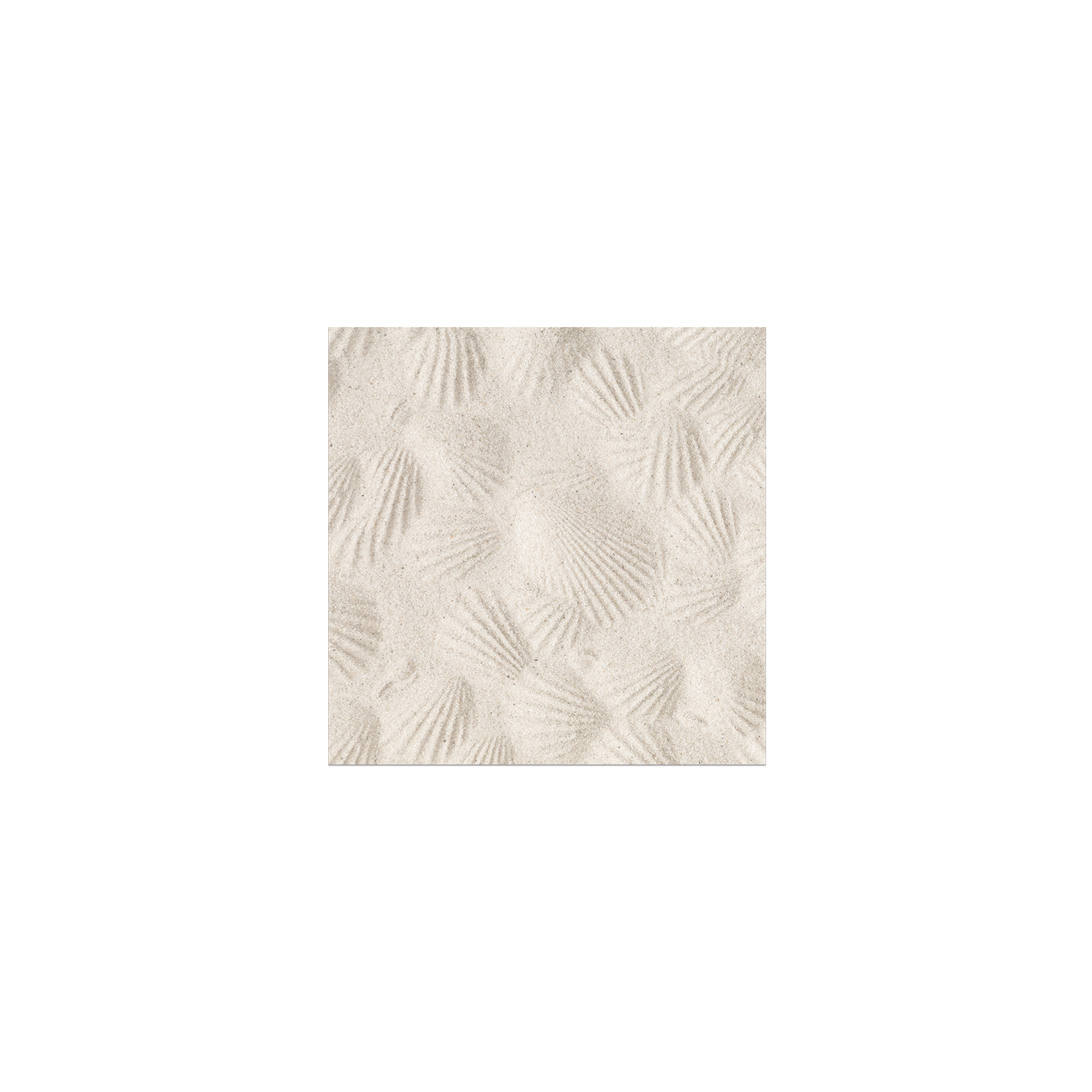Lot de 6 dessous de verre vinyle Bivalvia