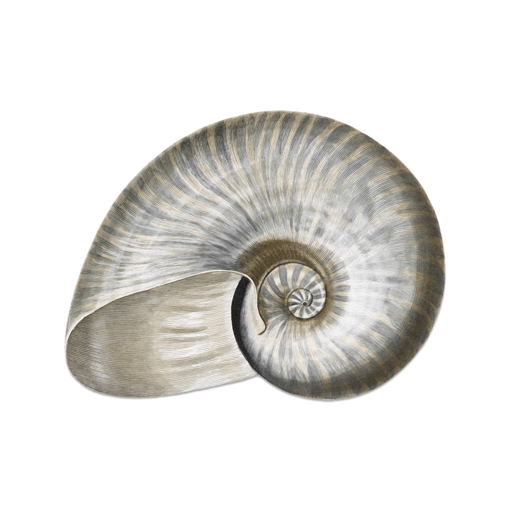 Set de table vinyle Ormeau