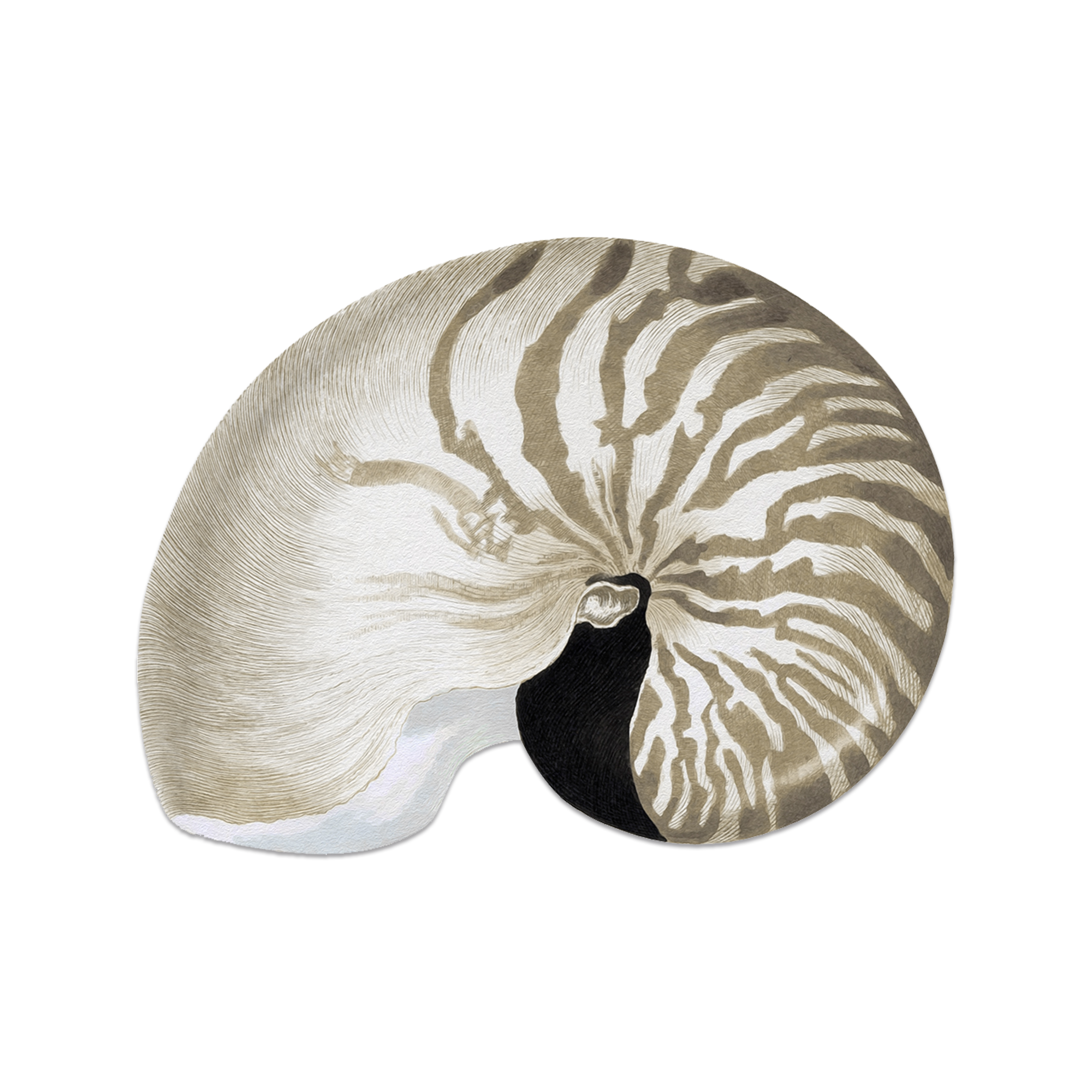 Set de table vinyle Charonia