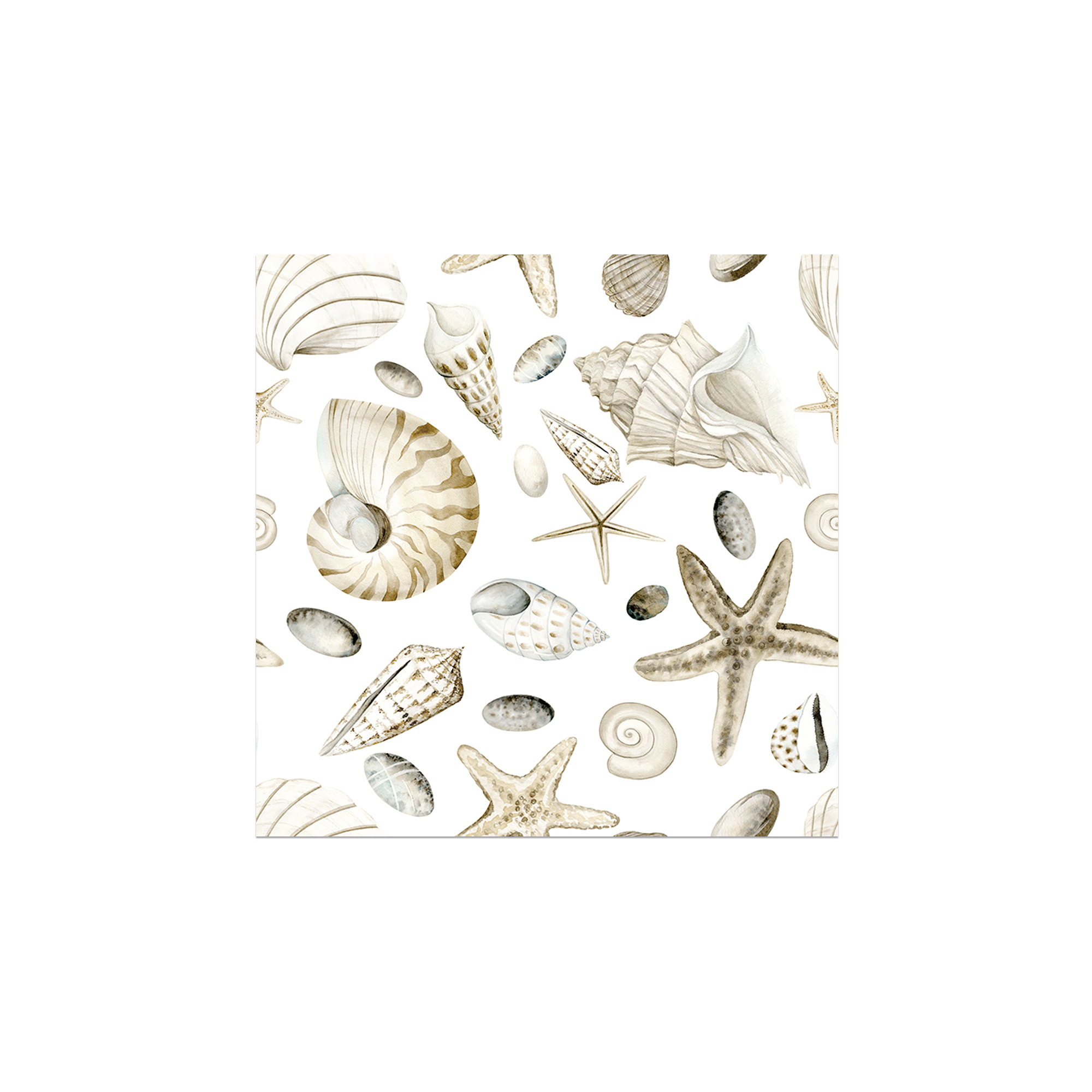 Lot de 6 dessous de verre vinyle Byssus