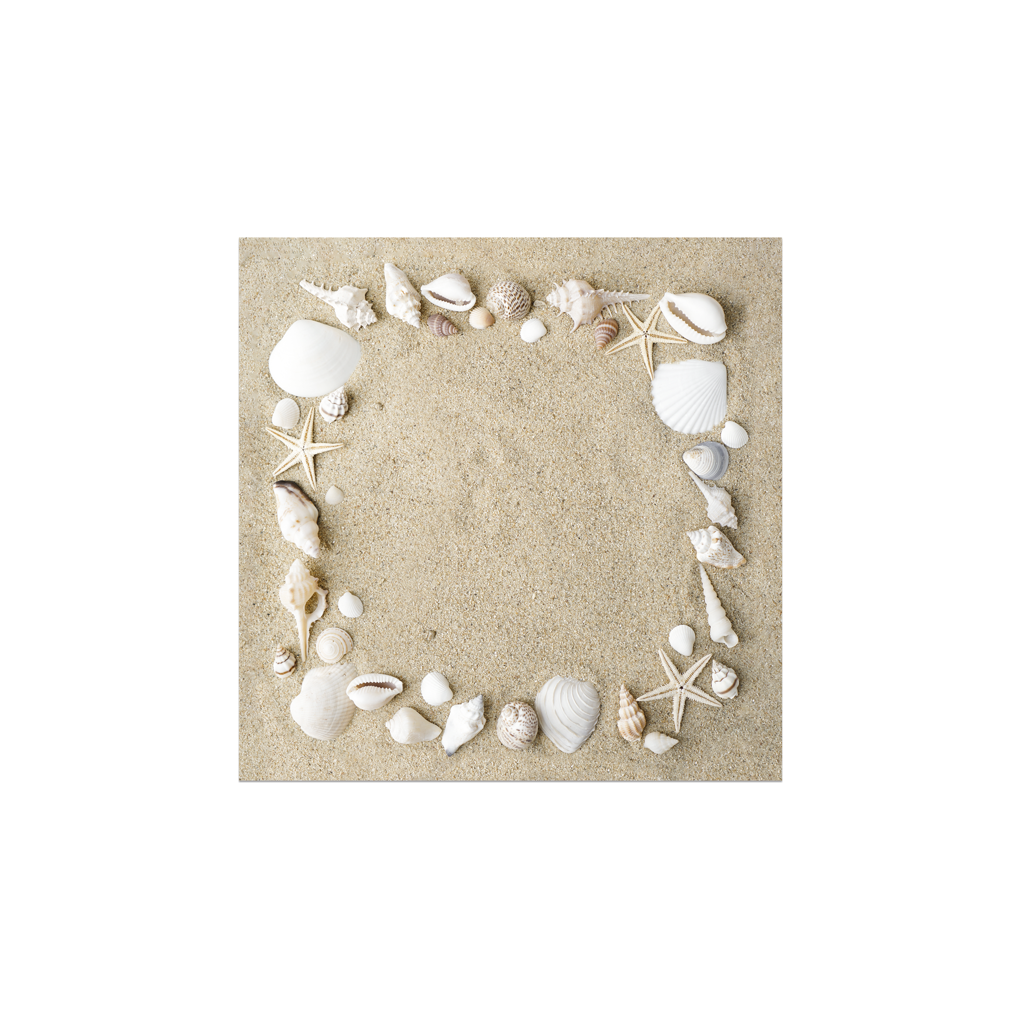 Lot de 6 dessous de verre vinyle Atrina