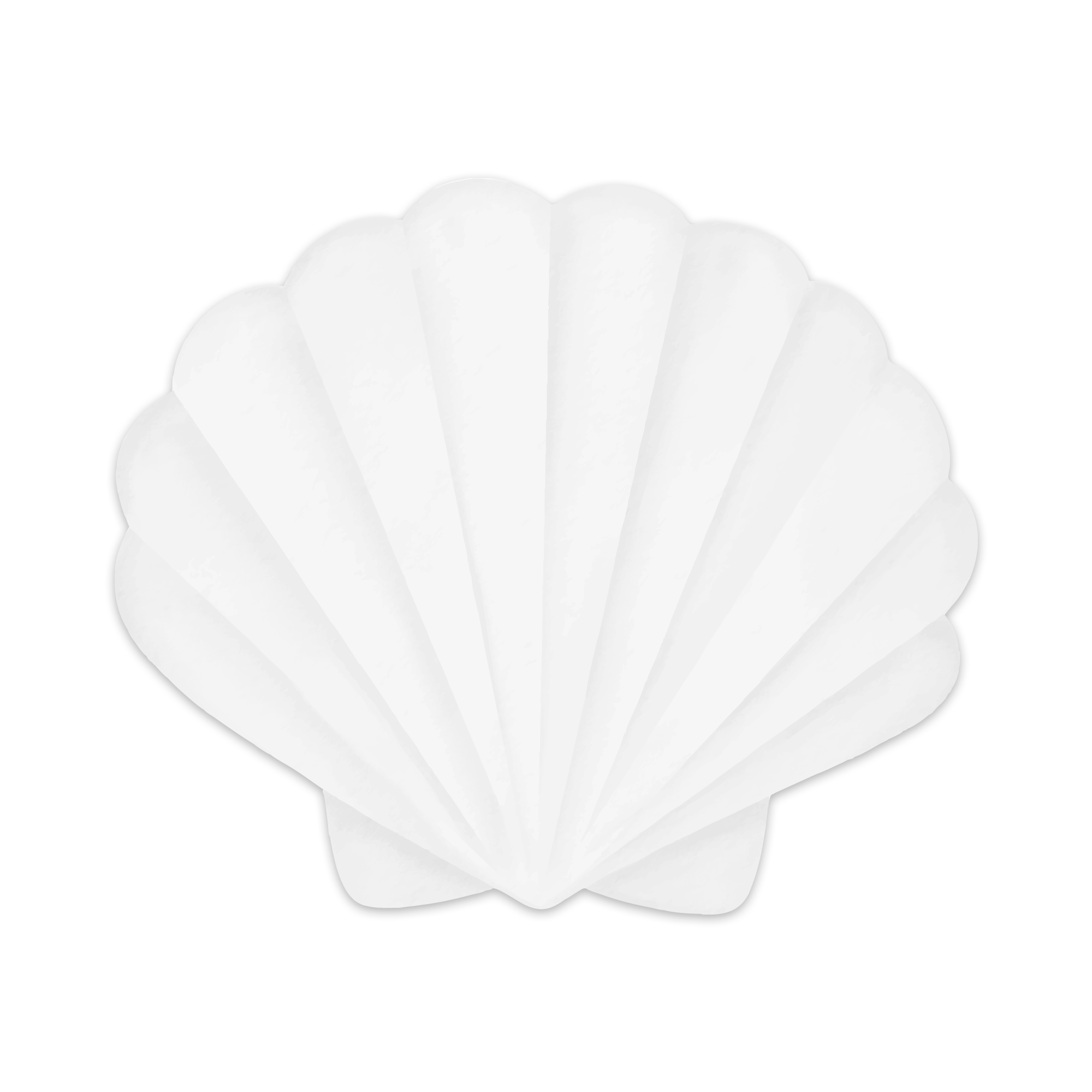 Set de table vinyle Pecten