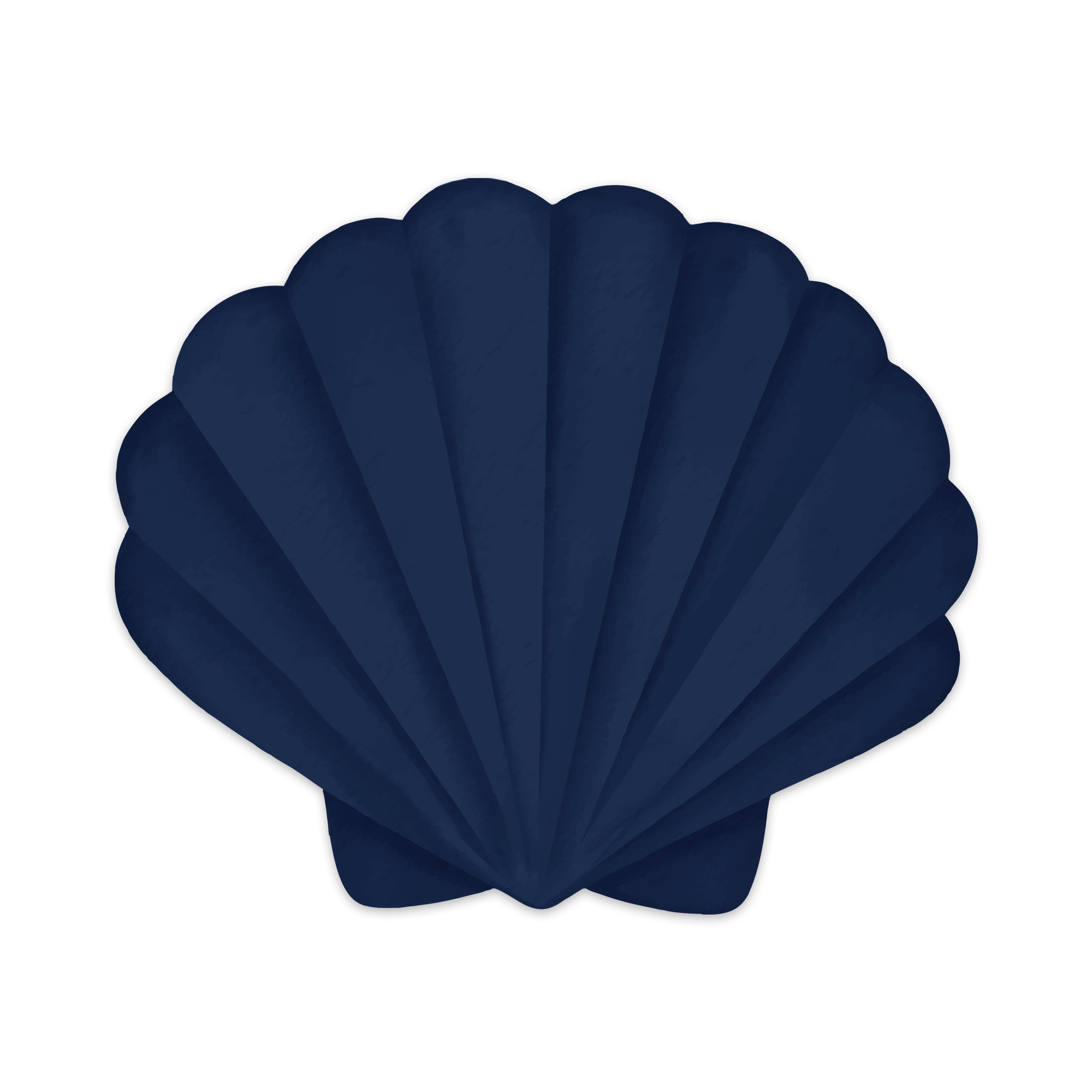 Set de table vinyle Pecten