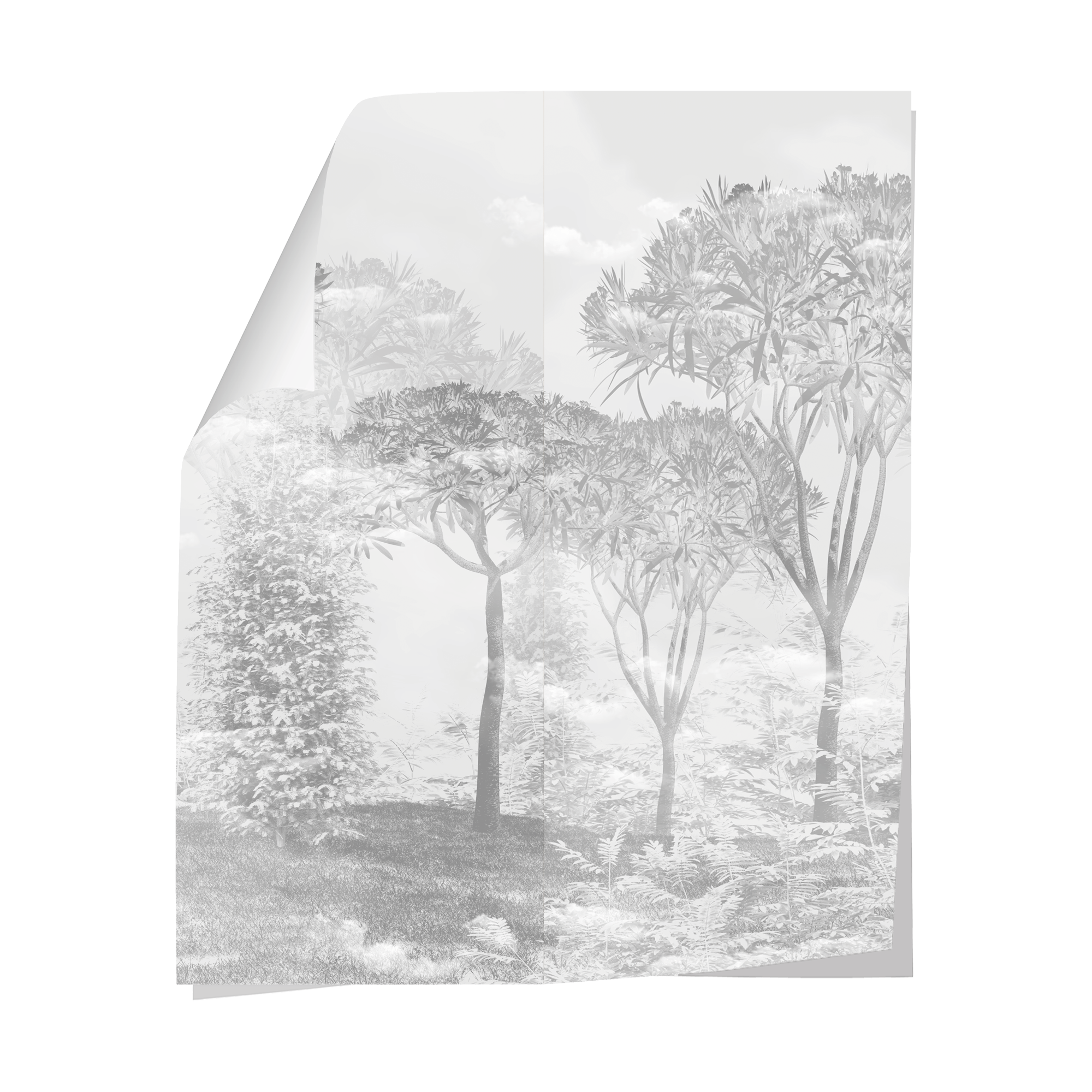 Papier peint Attalea