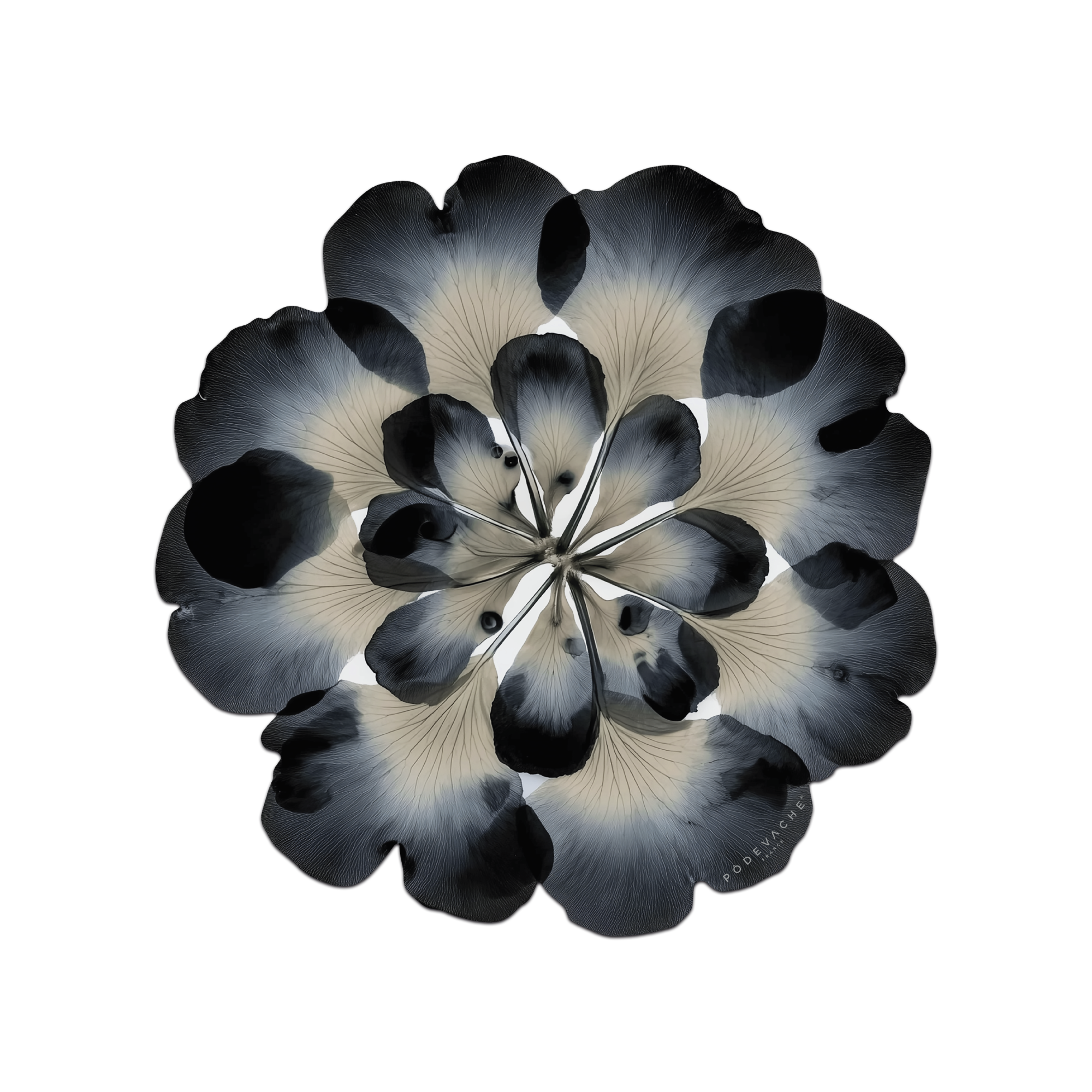 Set De Table Vinyle Floral Corollea