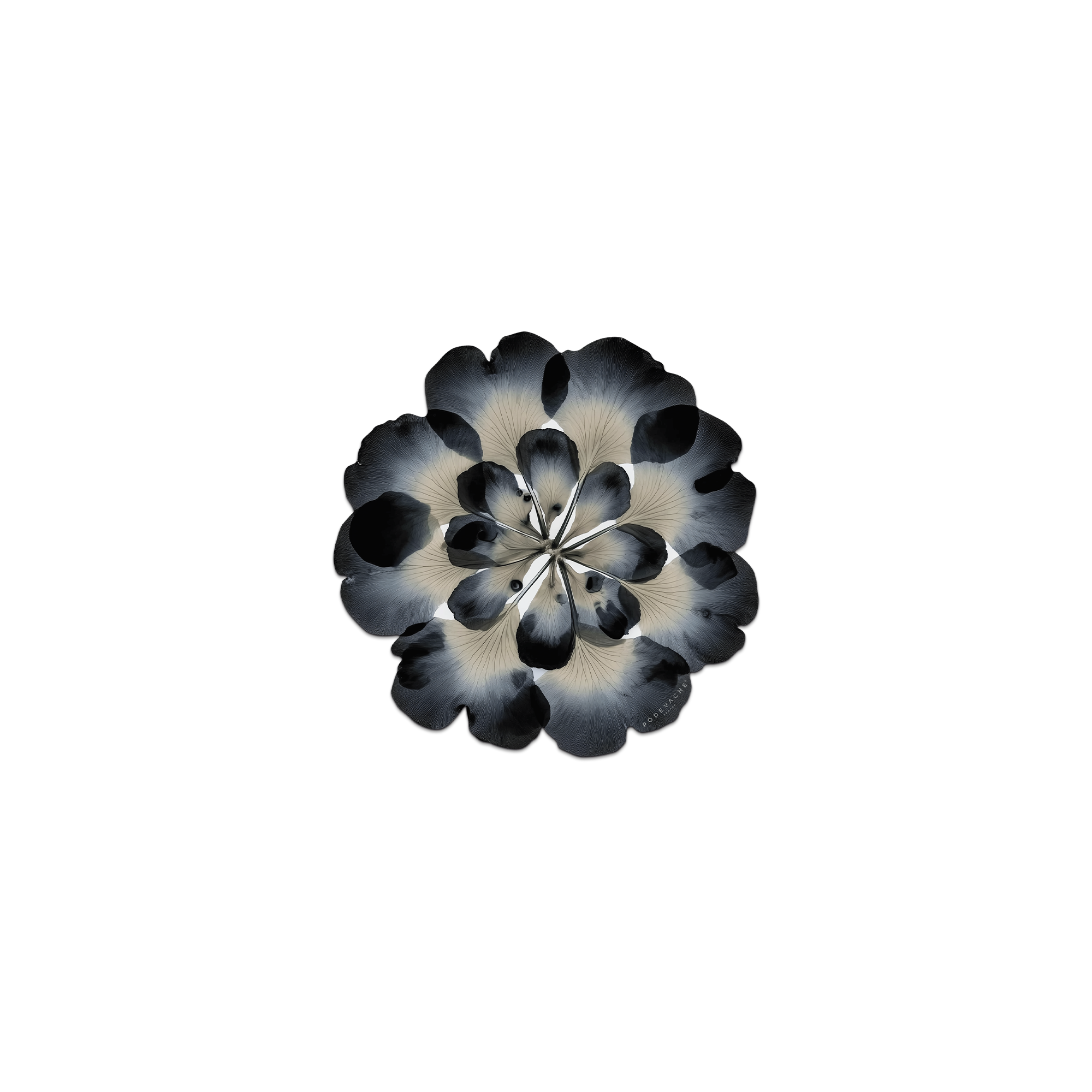 Lot De 6 Dessous De Verre Vinyle Corollea