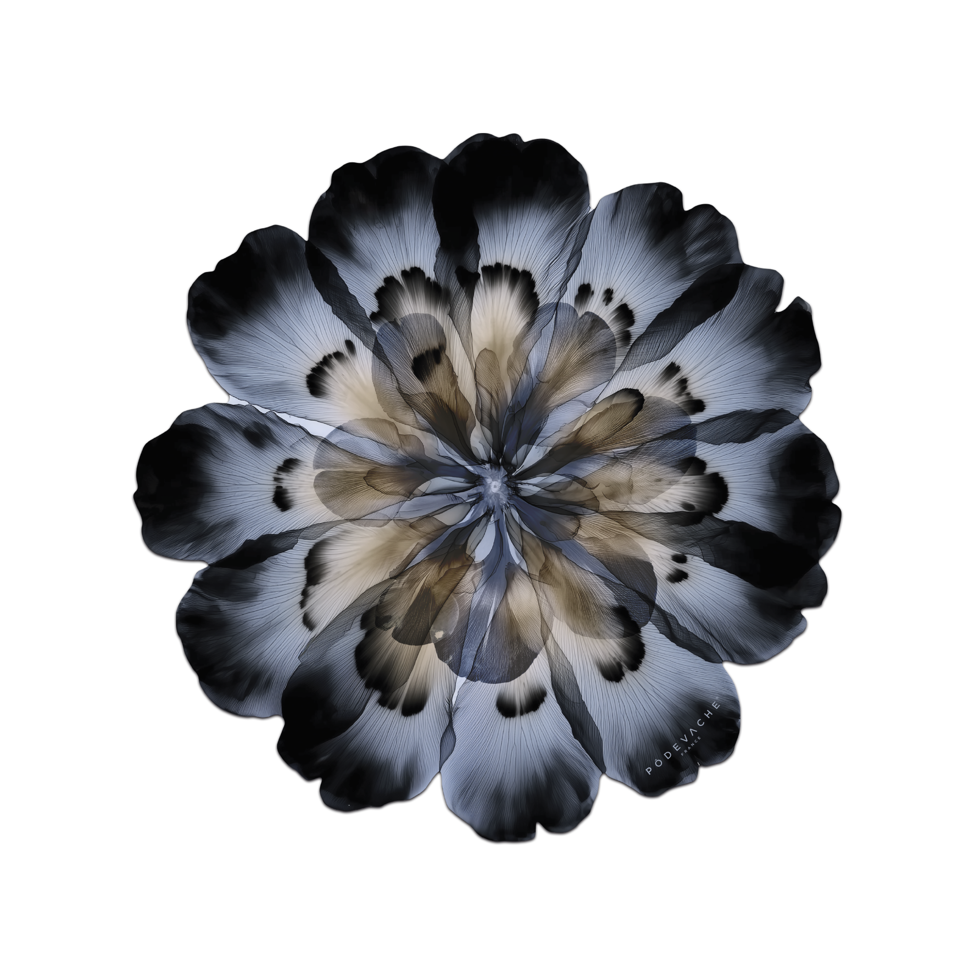 Set De Table Vinyle Floral Corolleo