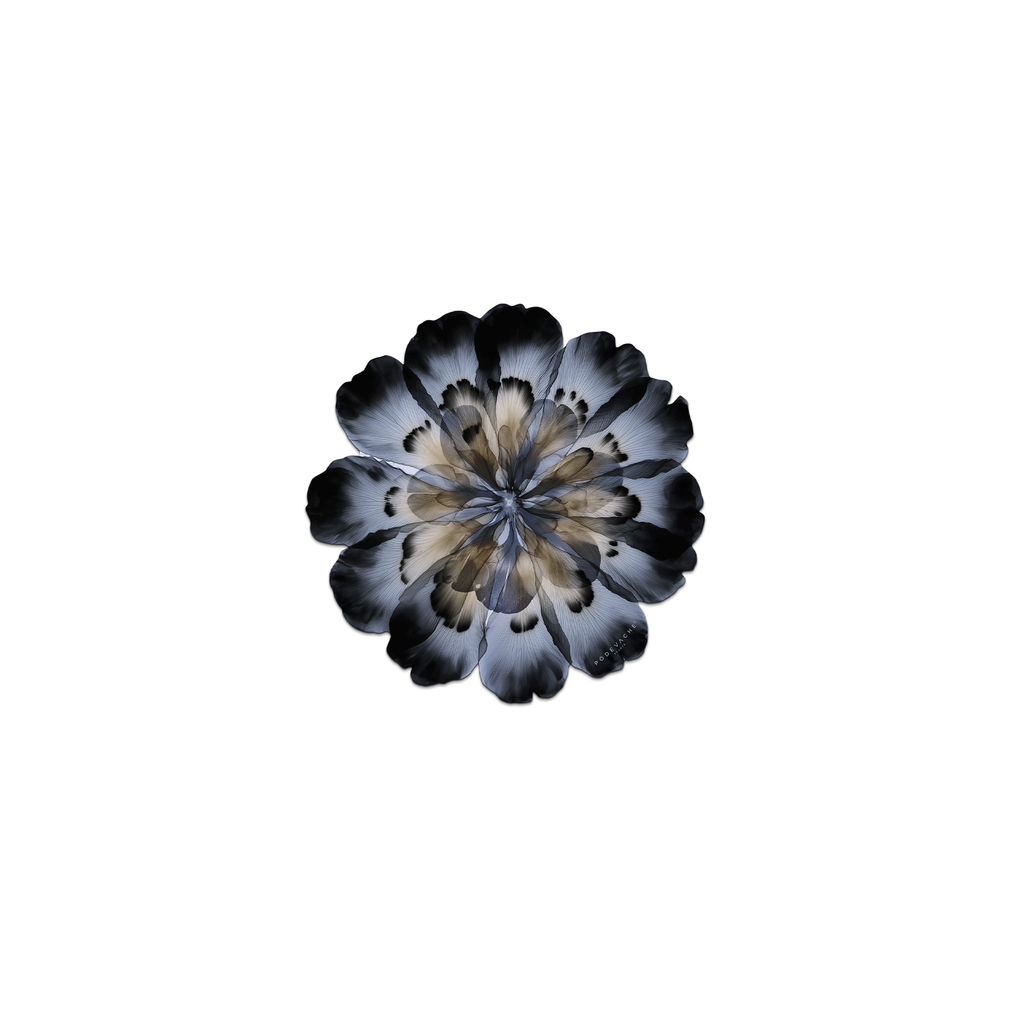 Lot De 6 Dessous De Verre Vinyle Corolleo