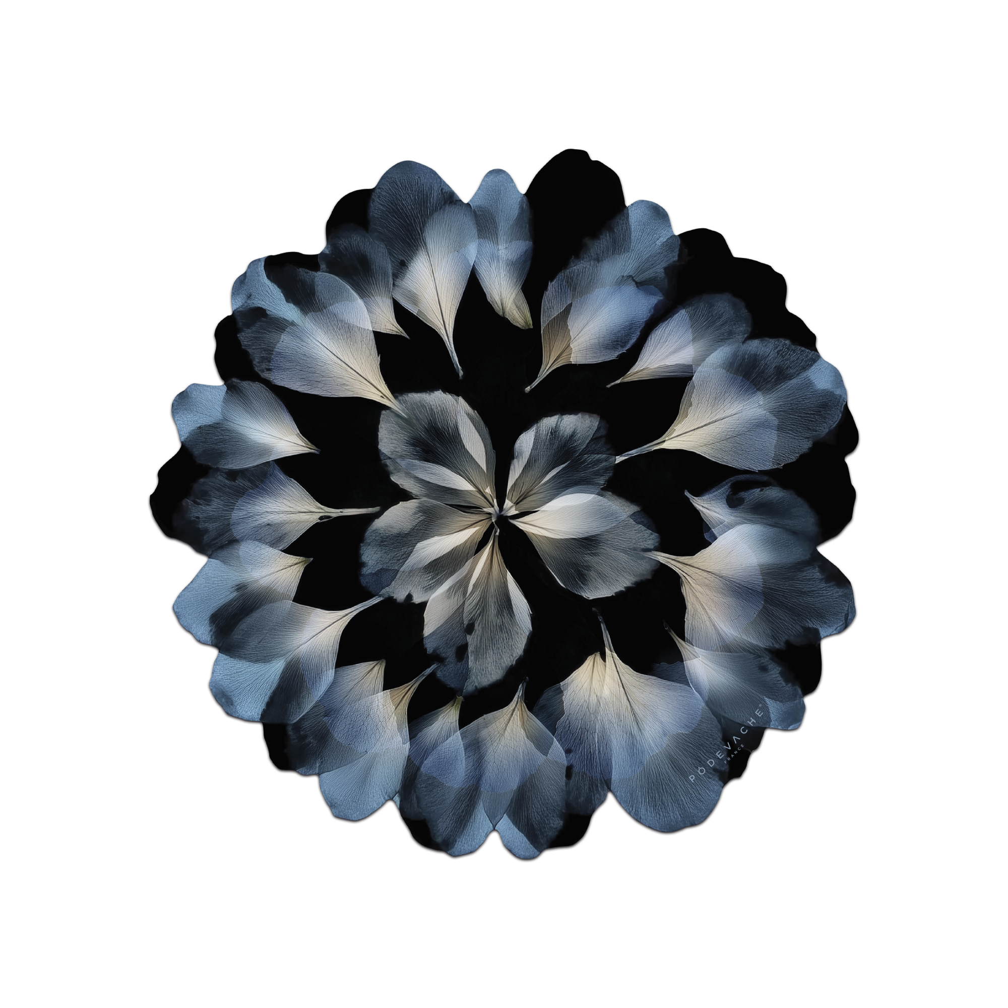 Set De Table Vinyle Floral Corolleu