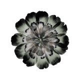 Set de table en vinyle rond — modèle Floral Corolleo