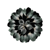 Set de table en vinyle rond — modèle Floral Corolleu