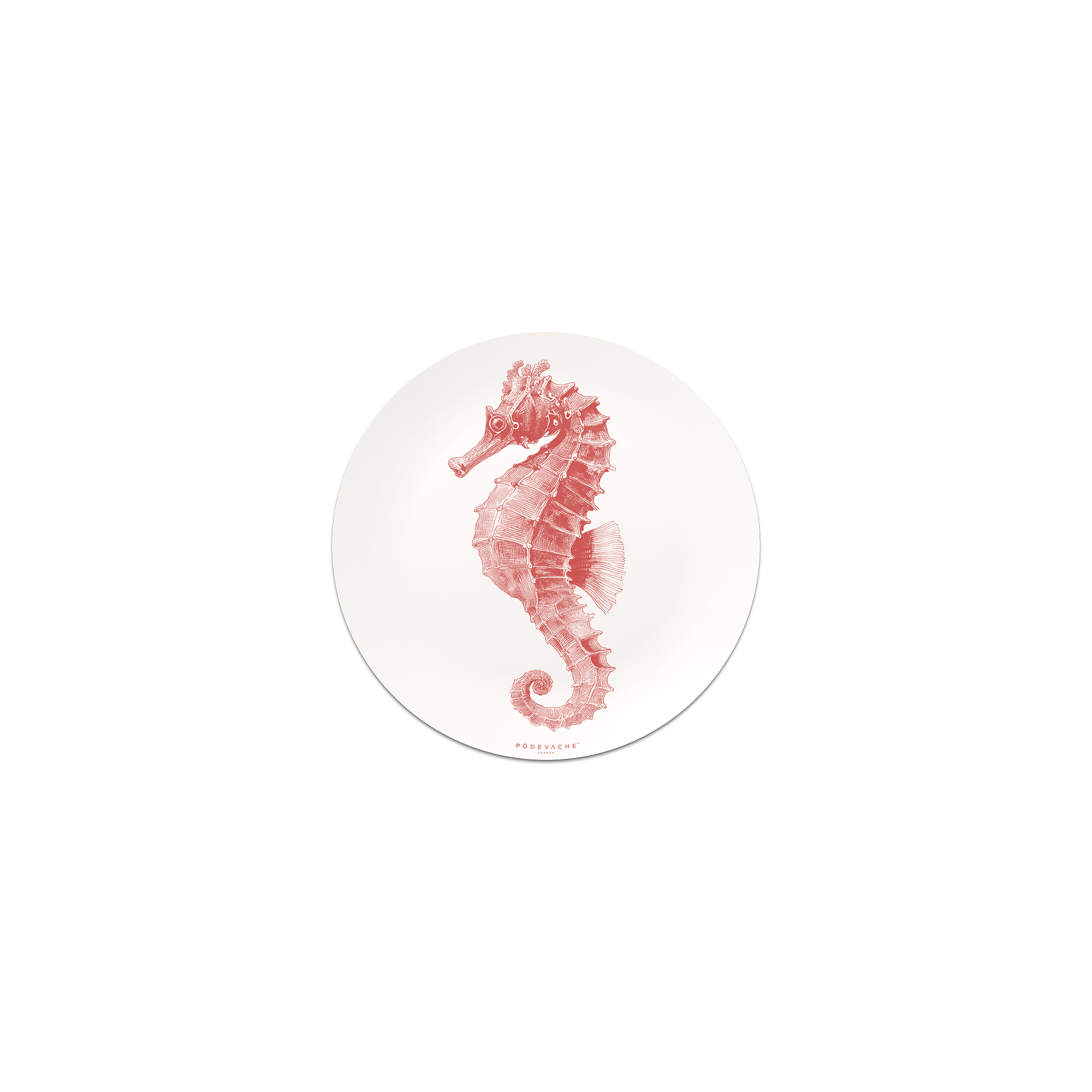 Lot De 6 Dessous De Verre Vinyle Guttulatus