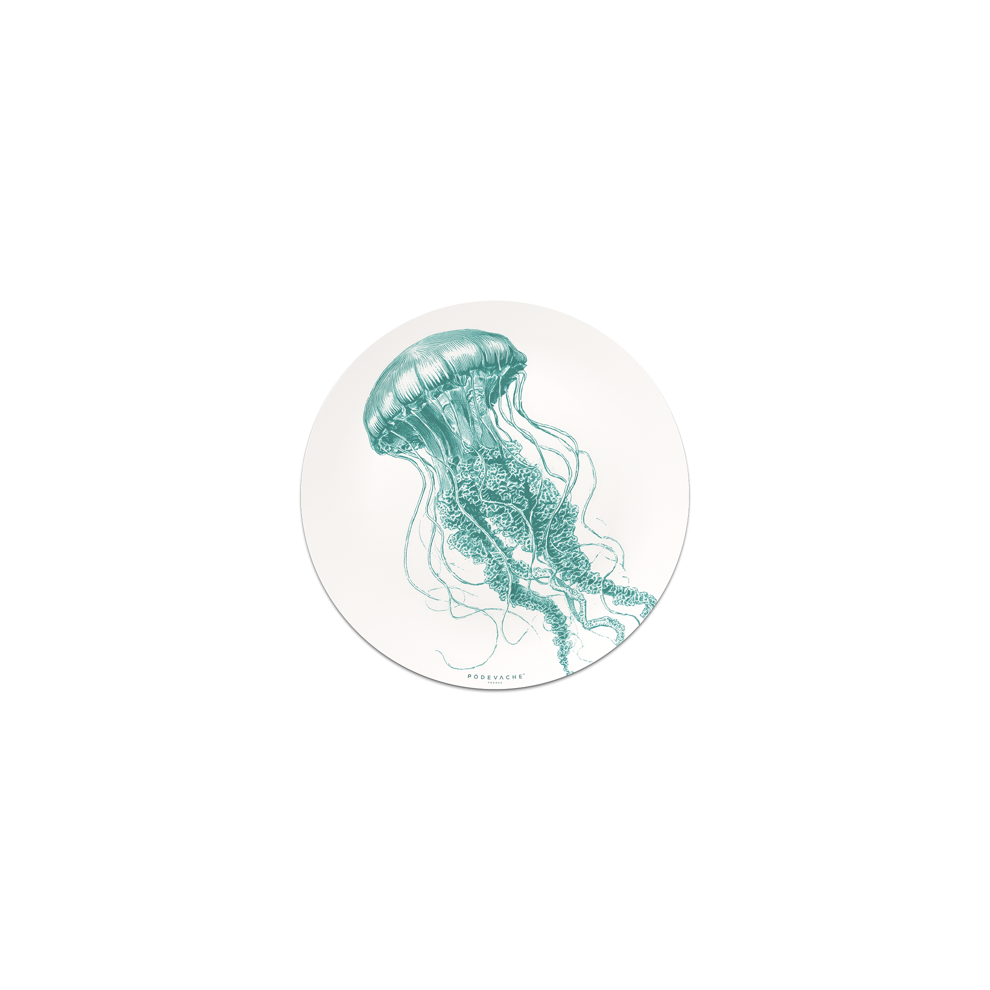 Lot De 6 Dessous De Verre Vinyle Euryale