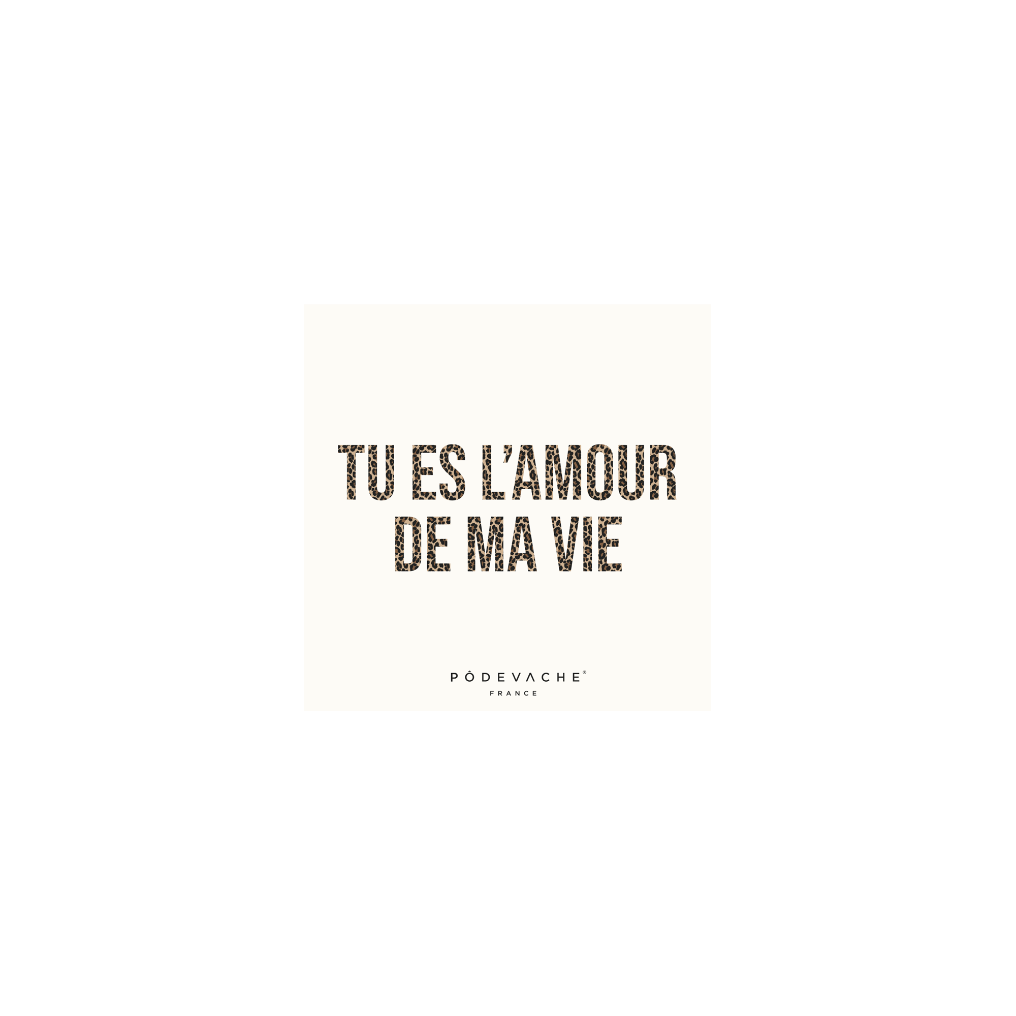 Lot de 6 dessous de verre vinyle Amour de ma Vie