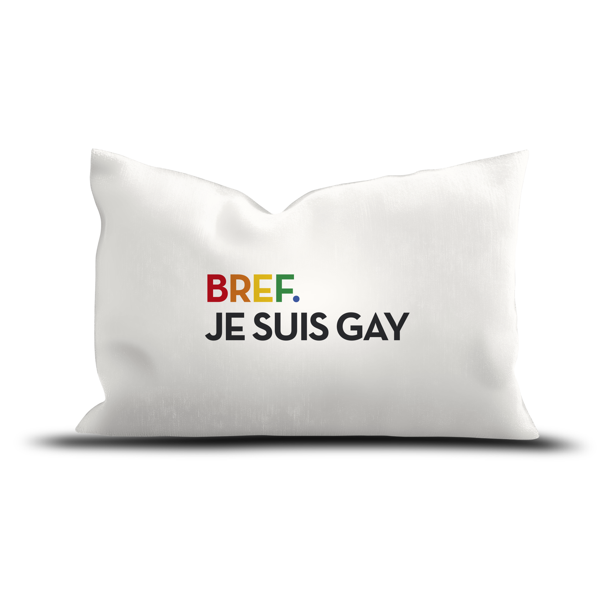 Coussin Velours Gay