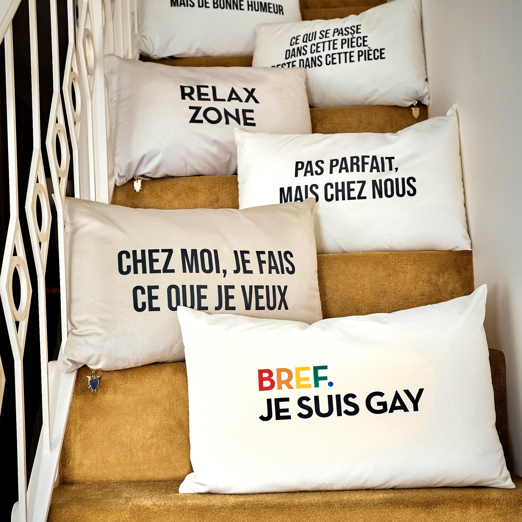 Coussin Velours Gay