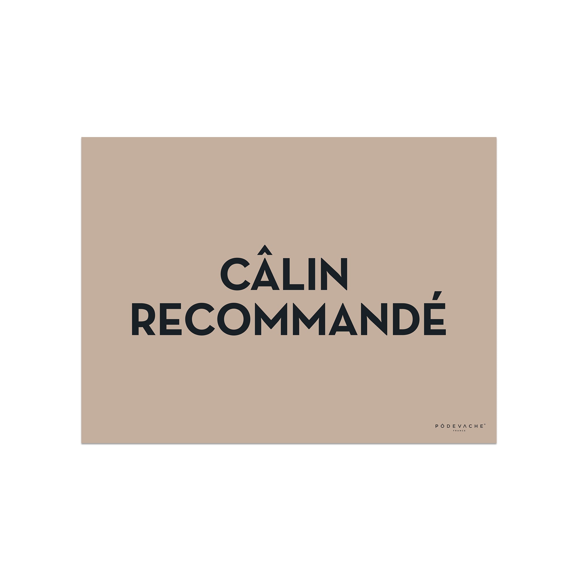 Set De Table Vinyle Calin à Volonté