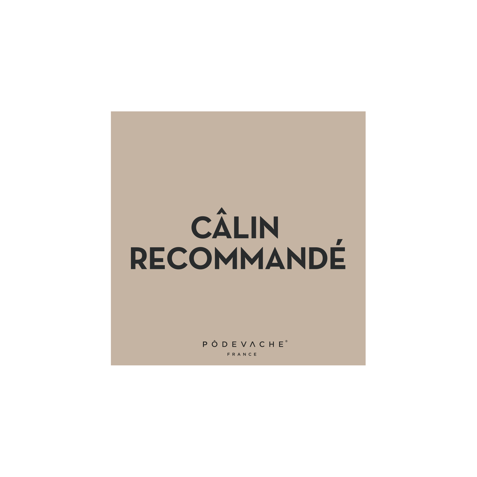 Lot de 6 dessous de verre vinyle Calin à Volonté