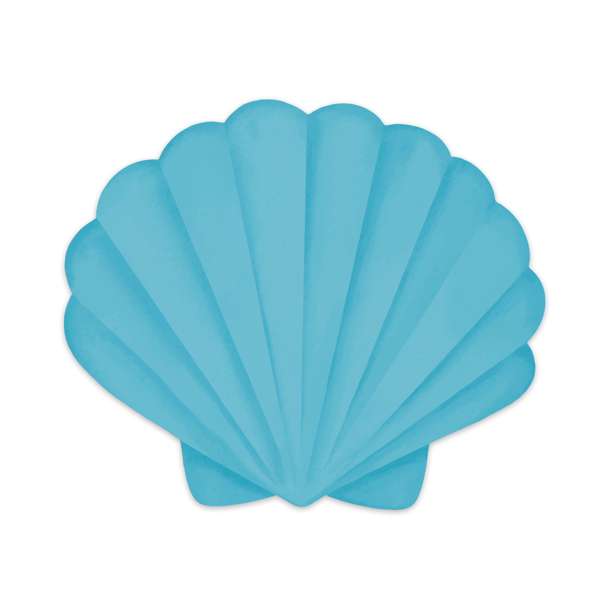 Set de table vinyle Pecten