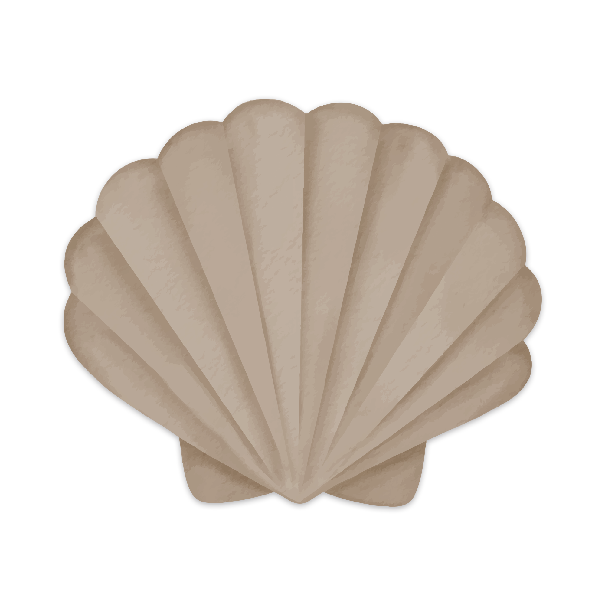 Set de table vinyle Pecten