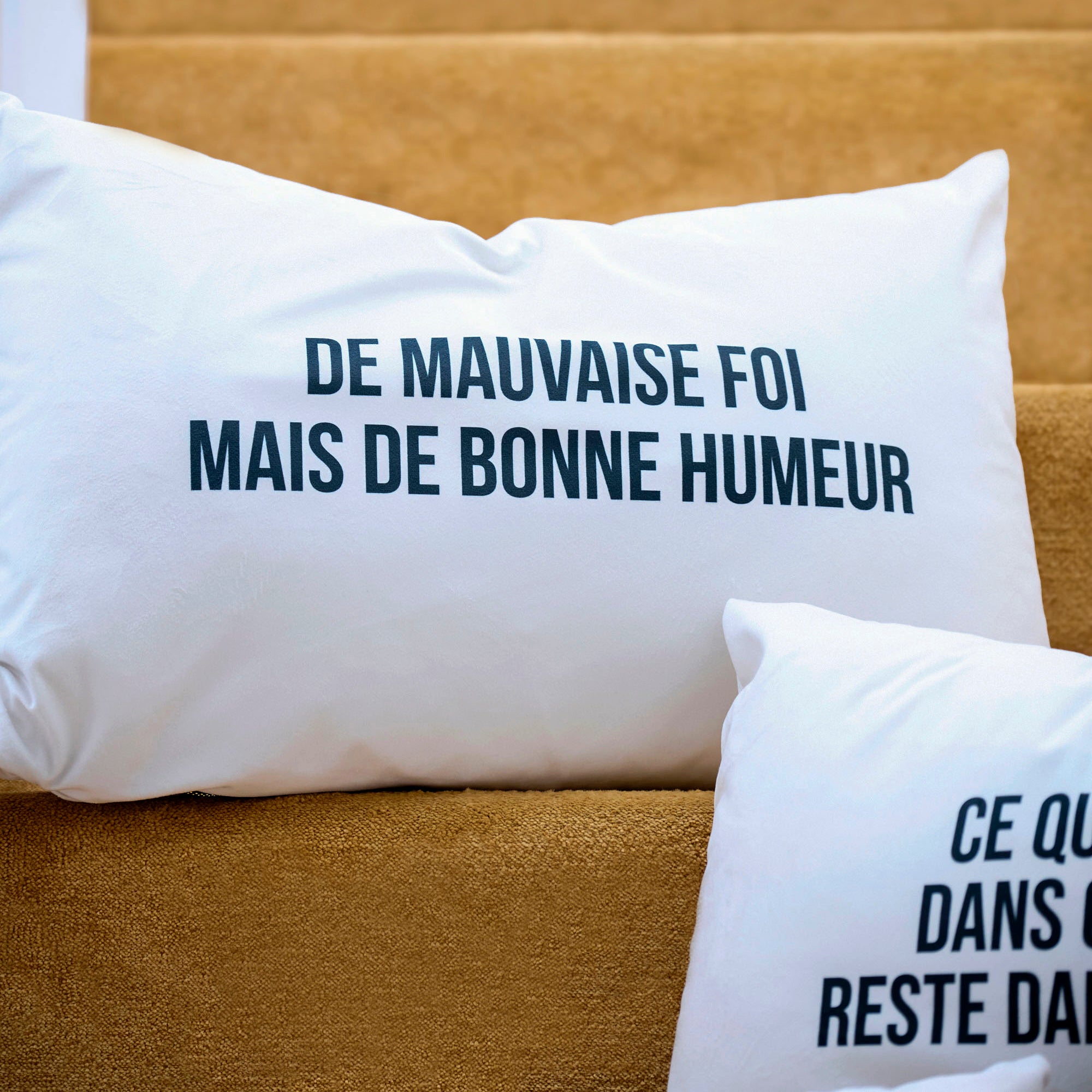 Coussin Velours Mauvaise Foi