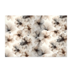 Tapis velours Blackburn