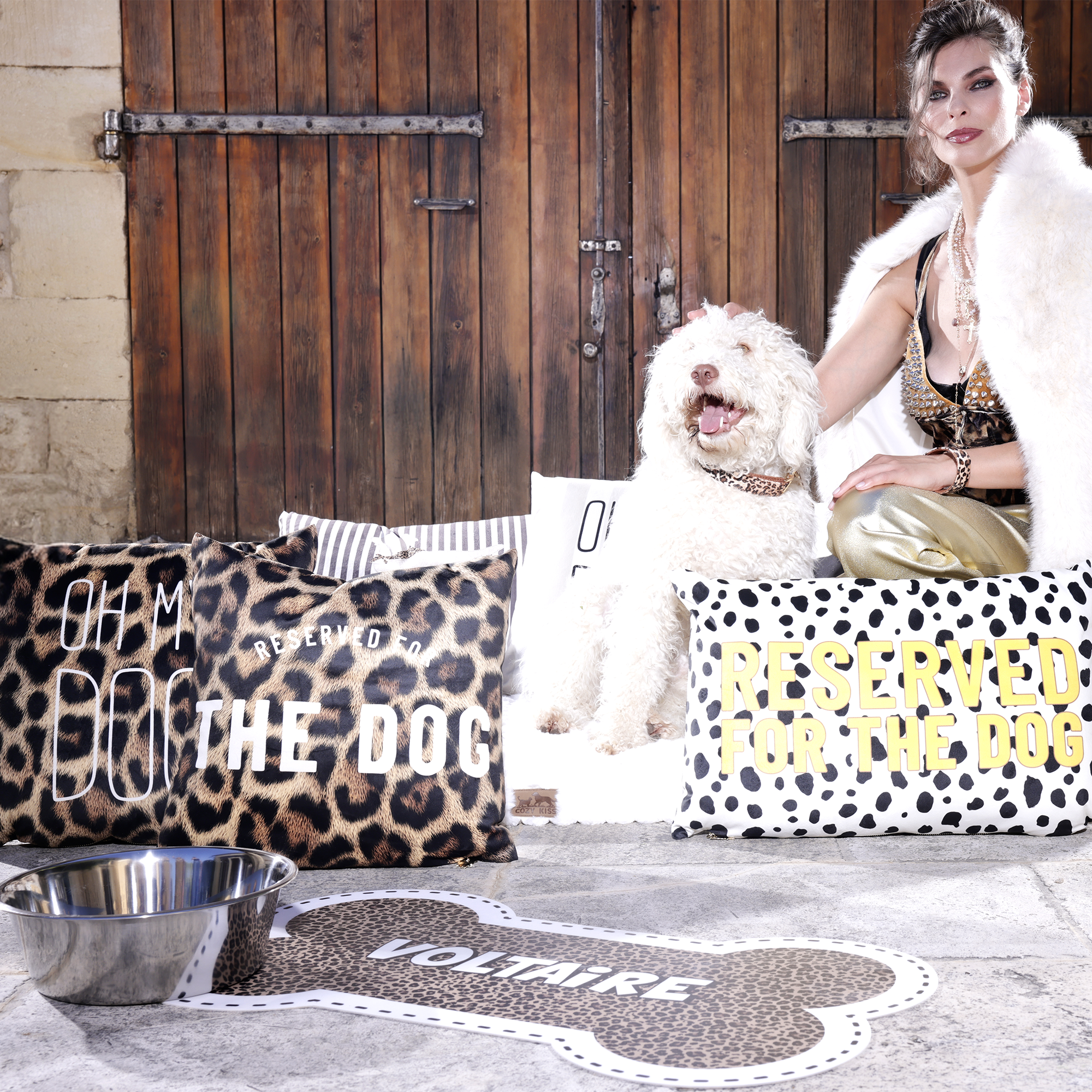 Coussin velours Leo Dog