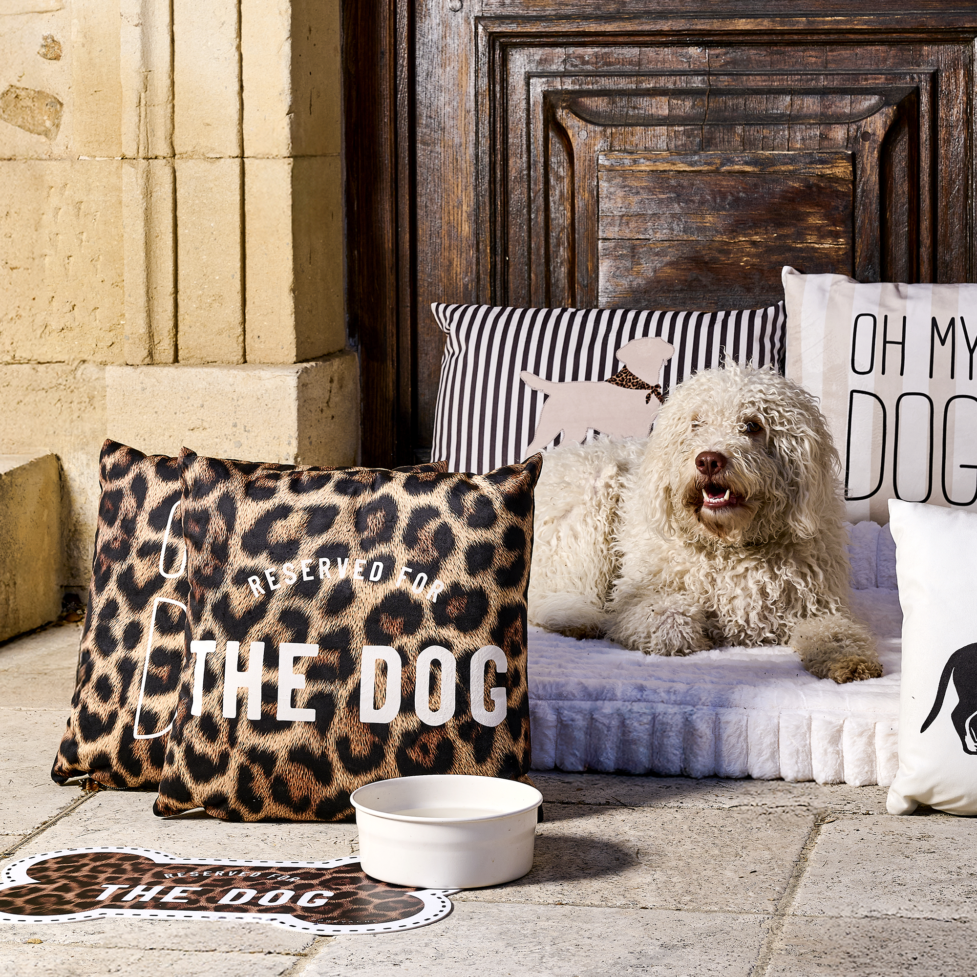 Coussin velours Leo Dog
