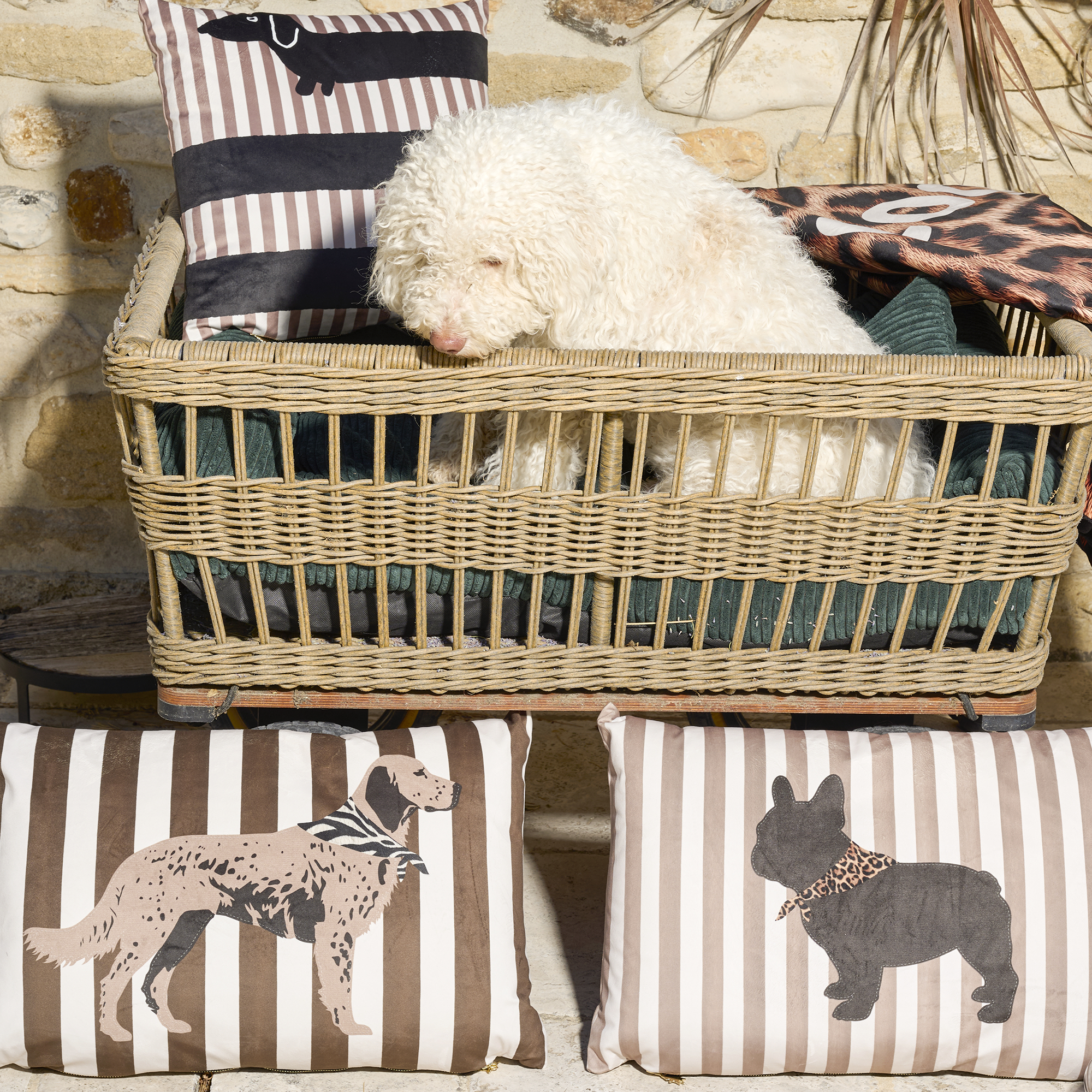 Coussin velours Stripes Bulldog