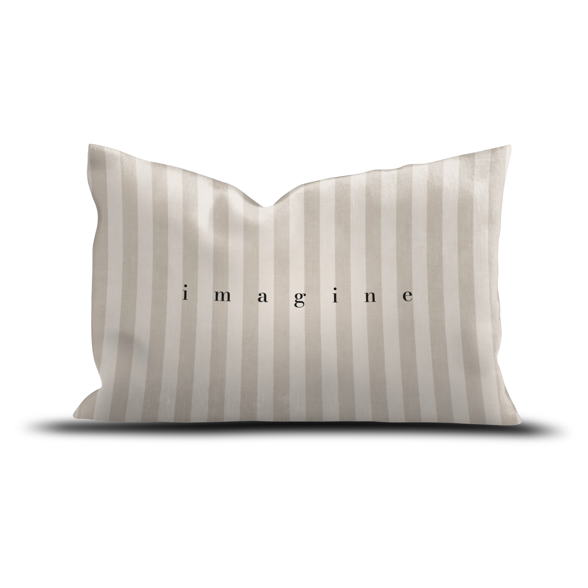 Coussin velours Imagine