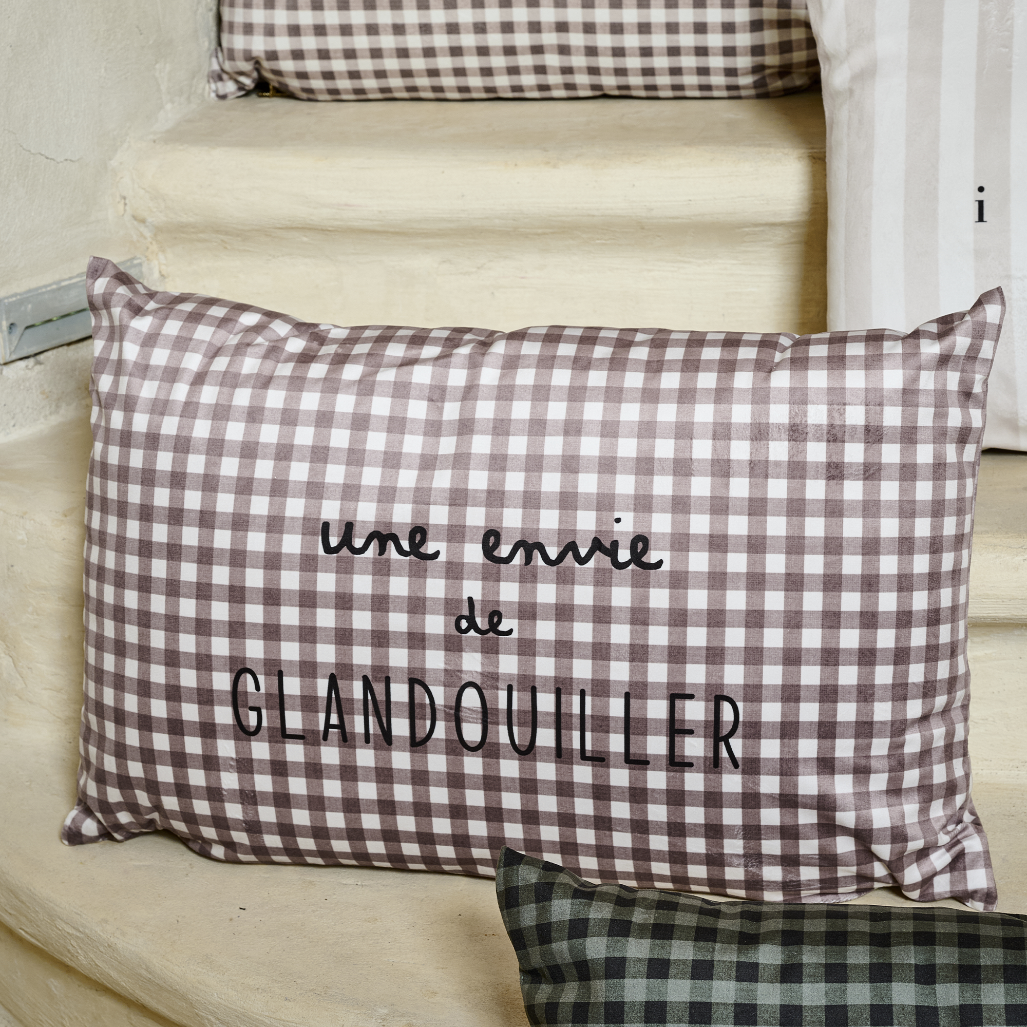 Coussin velours Glandouiller