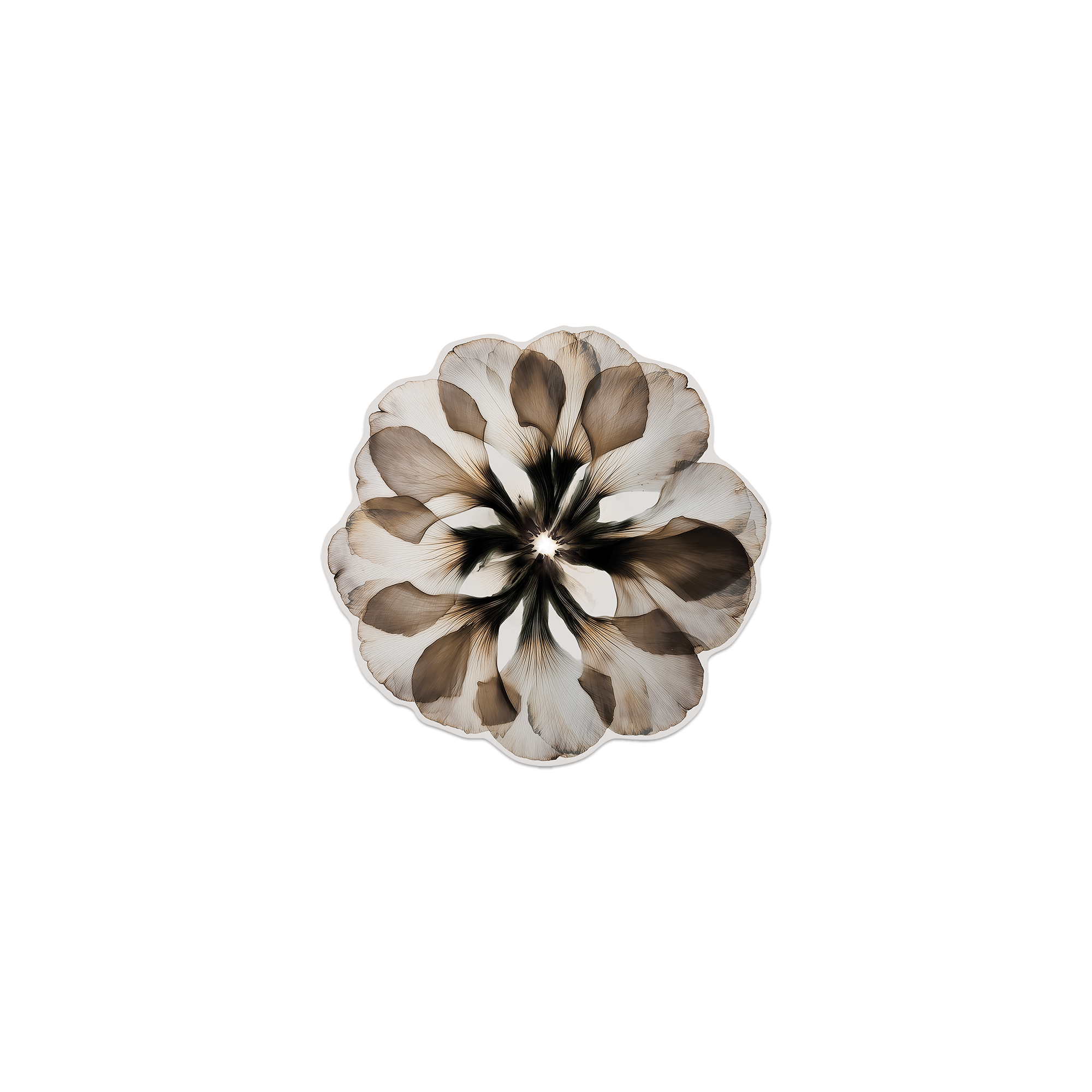 Lot de 6 dessous de verre Vinyle Floral Corollai