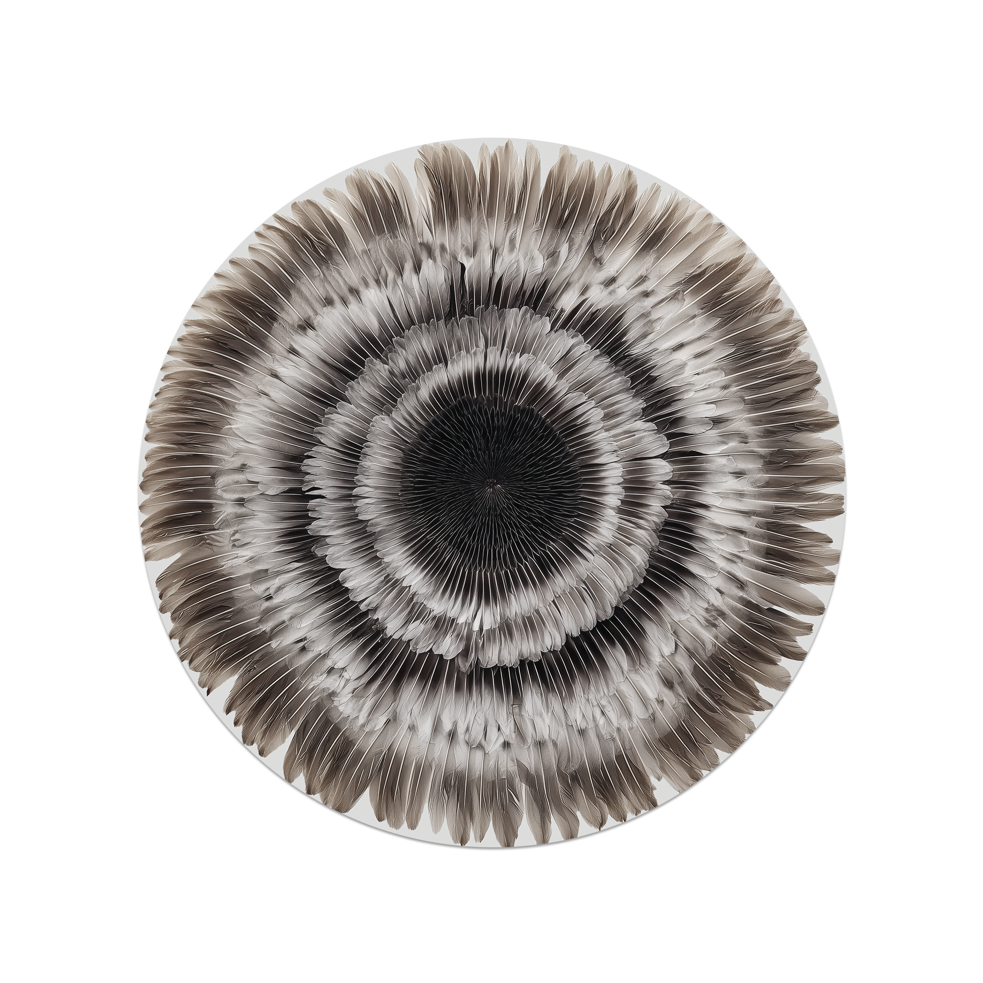 Set de table vinyle Parkia
