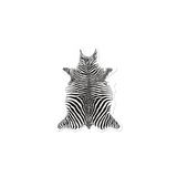 Set of 6 Zebra vinyl coasters