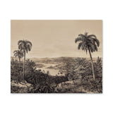 Affiche en papier format paysage — modèle Braza, motif végétal et floral