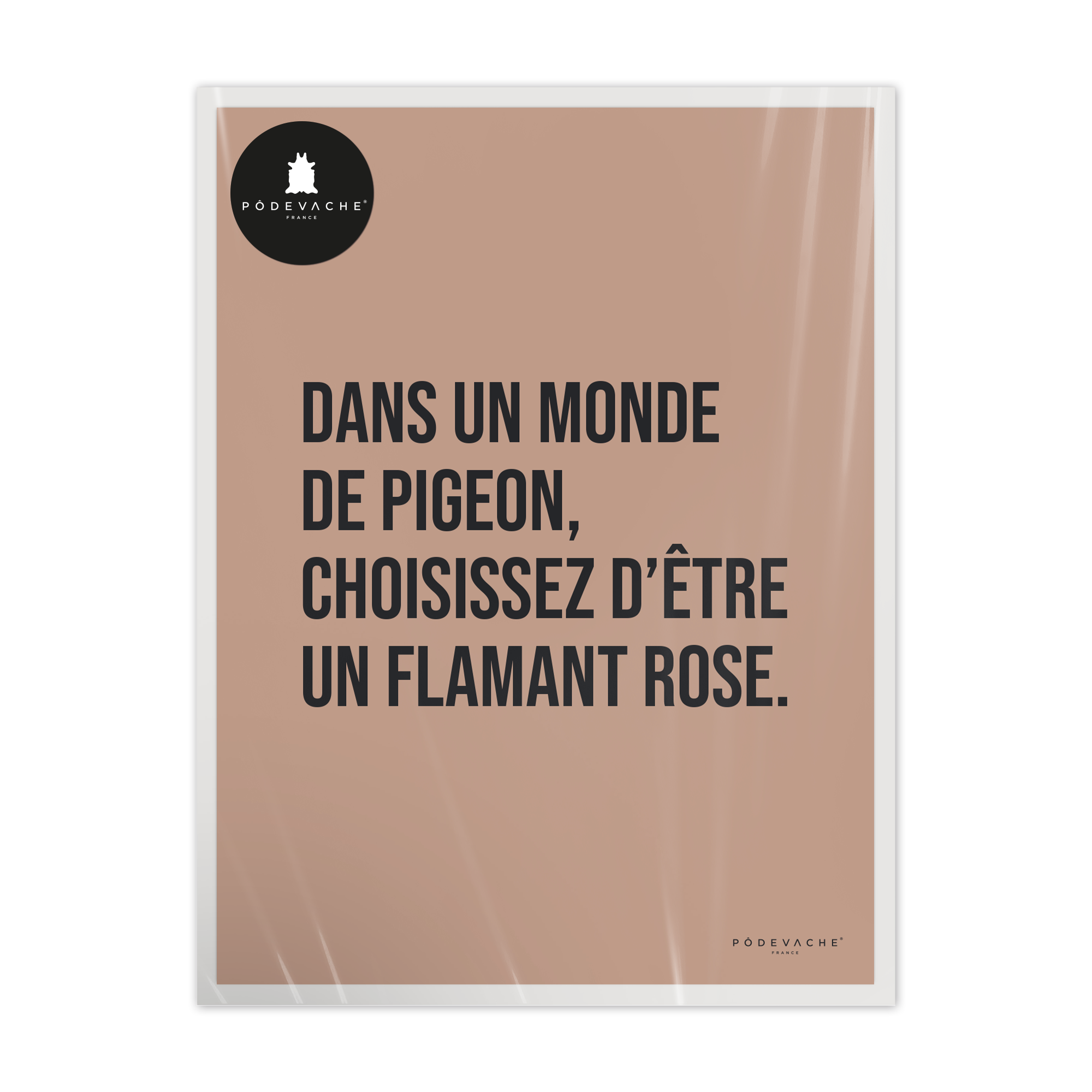 Affiche ou affiche encadrée Pigeon